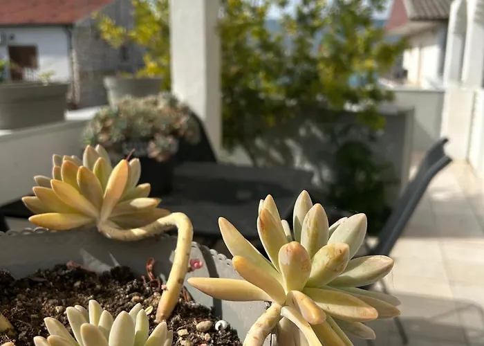 Grgic Lejlighed Trogir