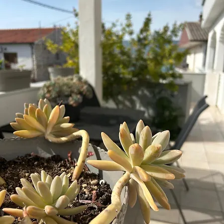 Grgic Appartement Trogir